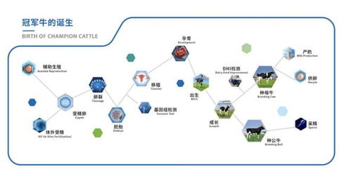 育種科技結碩果 優然牧業賽科星聯合主辦家畜生物育種與胚胎工程技術國際學術研討會